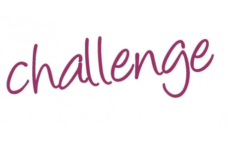 INFO ! 1er juillet : Challenge 2017. 